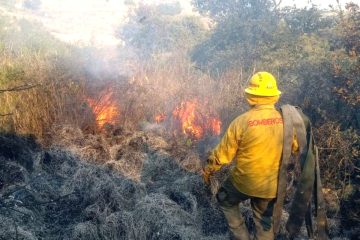 Incendio forestal en México