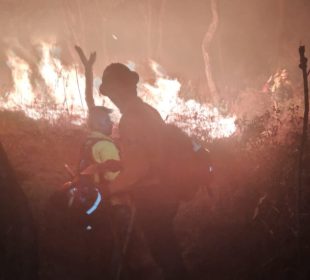 Incendio en el Bosque La Primavera