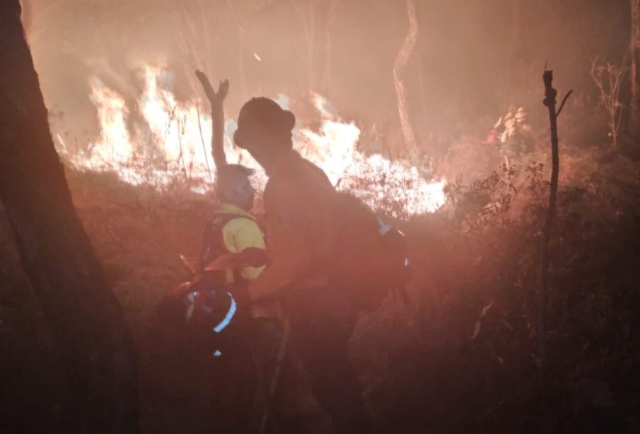 Incendio en el Bosque La Primavera