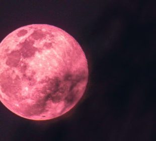 Luna Rosa