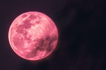 Luna Rosa