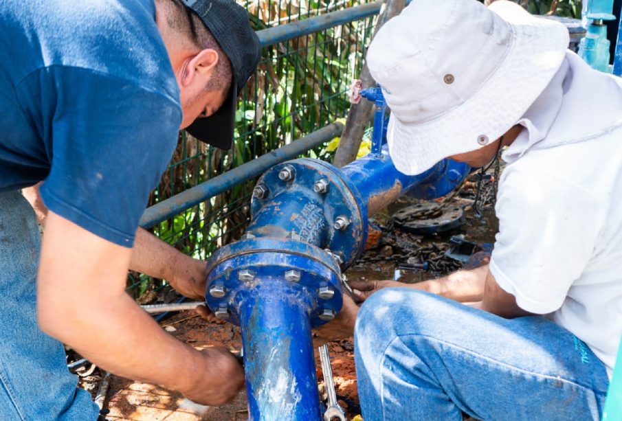 Personal de Seapal haciendo trabajos de mantenimiento