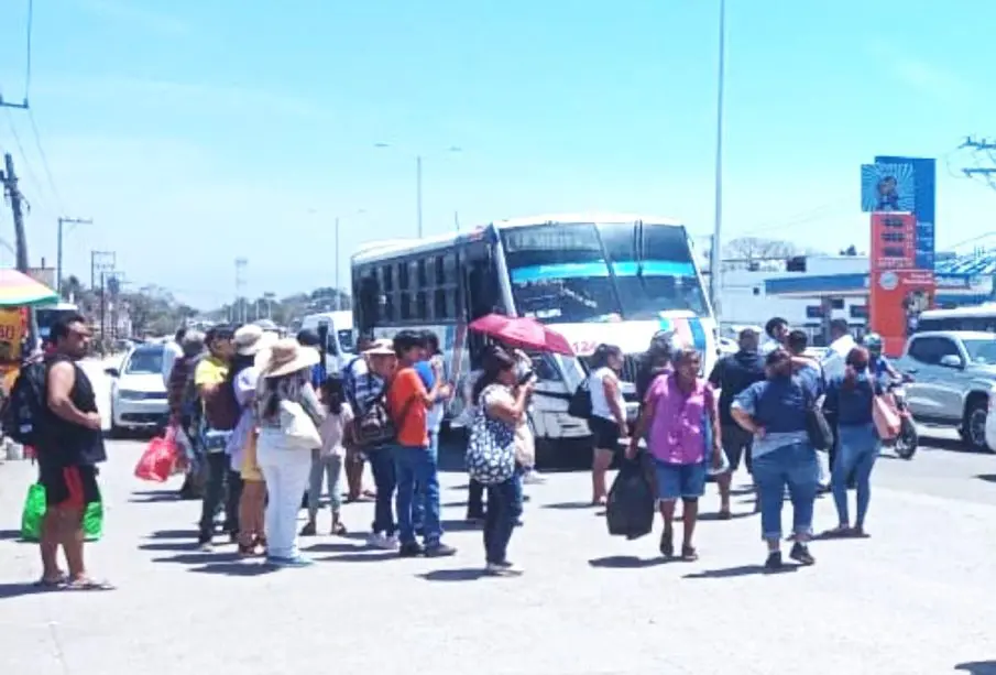Usuarios del transporte en BB