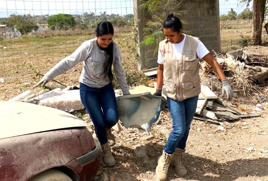 Personas en acciones contra el dengue en Vallarta