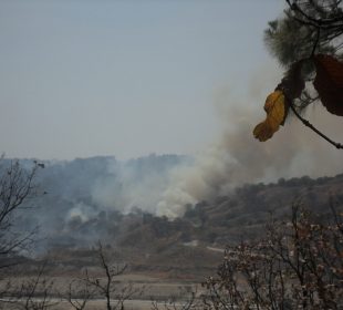 Alerta atmosférica es desactivada en el Bosque de la Primavera