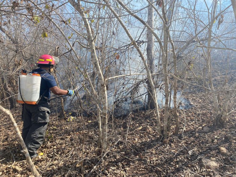 Bombero controlando incendio forestal