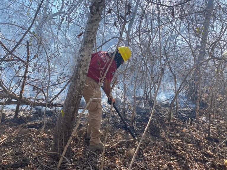 Bombero en sitio de incendio forestal