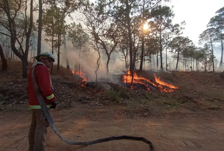 Bombero sofocando incendio