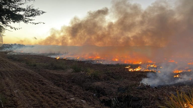 Bomberos de Bahía de Banderas han atendido 219 incendios