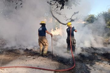 Bomberos sofocando incendio forestal