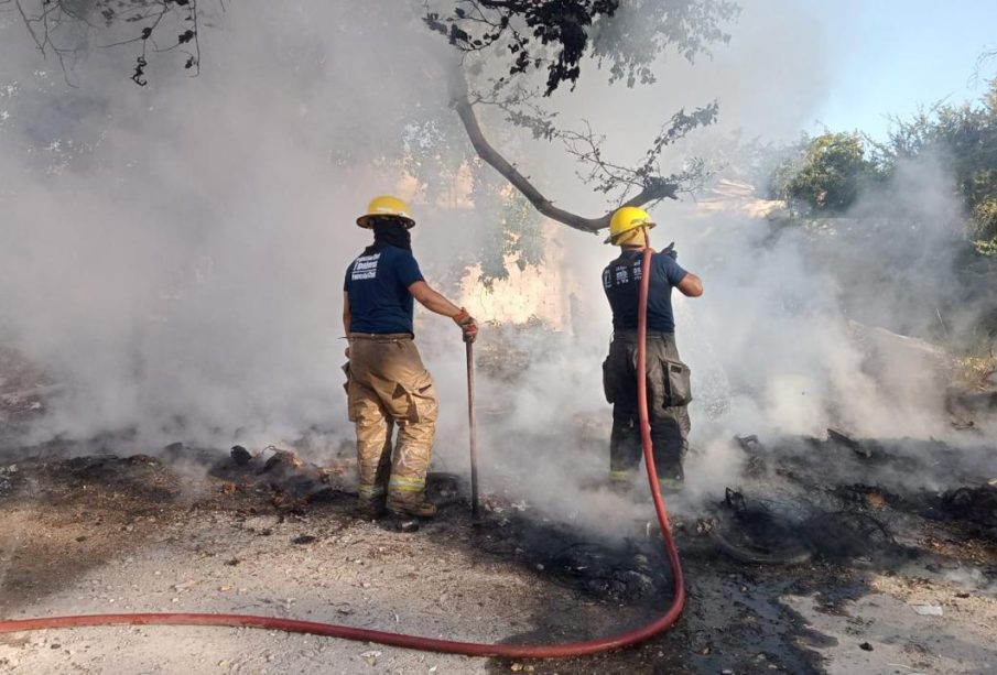 Bomberos sofocando incendio forestal