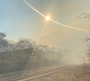 Incendio en el volcán Ceboruco