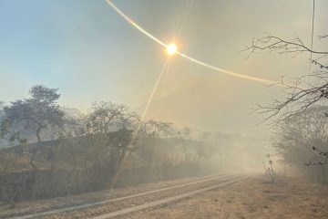 Incendio en el volcán Ceboruco