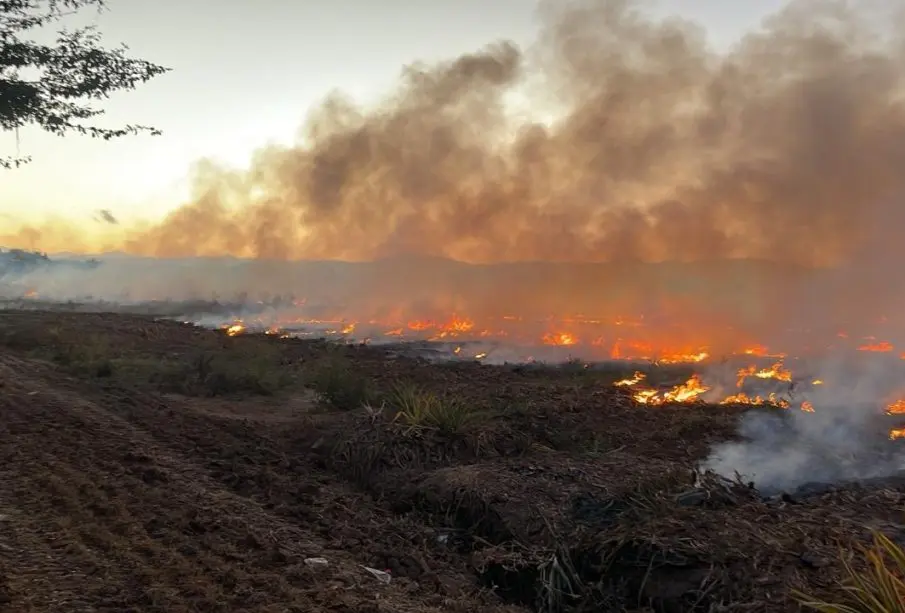 Incendio forestal