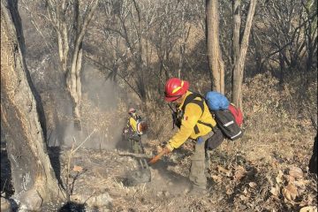 Incendio forestal