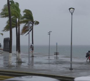 Viento soplando fuerte ante la presencia de ciclón