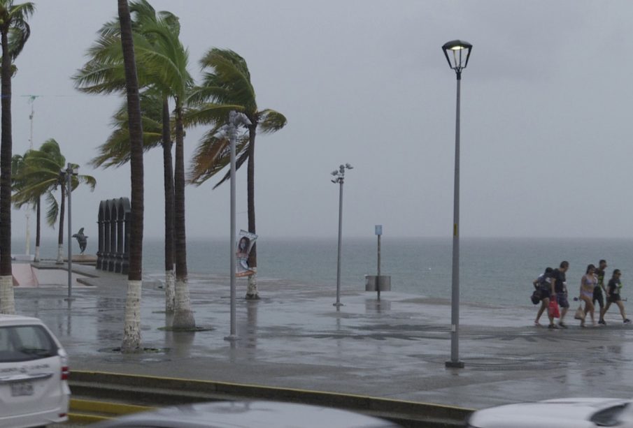 Viento soplando fuerte ante la presencia de ciclón