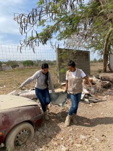 Aumentan los casos de dengue en Puerto Vallarta; acumula 75 contagios