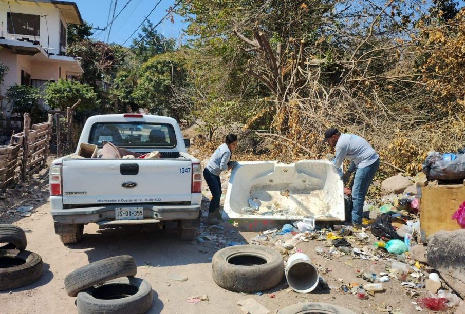 Aumentan los casos de dengue en Puerto Vallarta; acumula 75 contagios