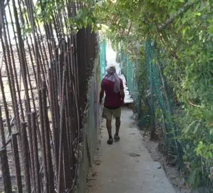 Al menos 16 accesos a playas de Vallarta necesitan rehabilitación urgente