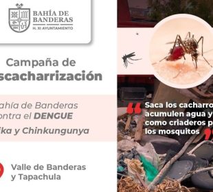 Cartel sobre campaña de descacharrización