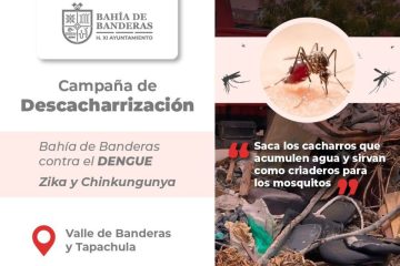 Cartel sobre campaña de descacharrización