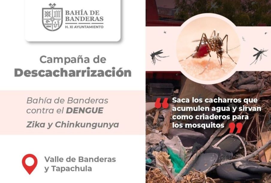 Cartel sobre campaña de descacharrización