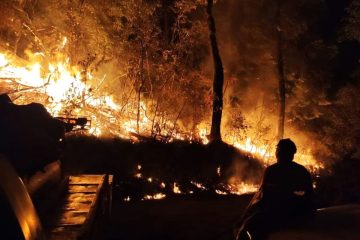 Incendio en Mascota