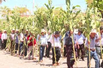 Fiestas tradicionales en Las Palmas