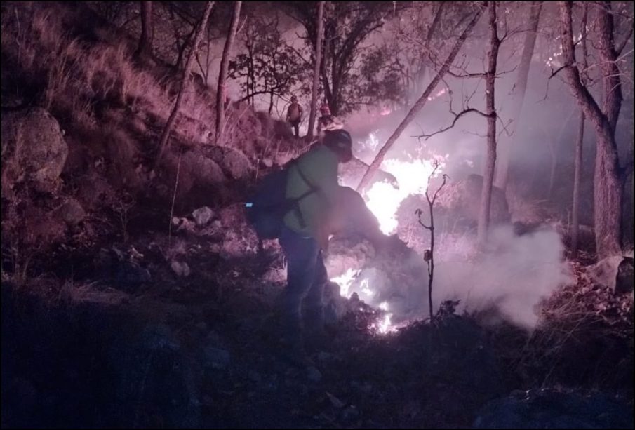 Incendio forestal