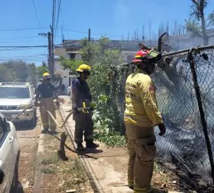 Bomberos atiende incendio en terreno