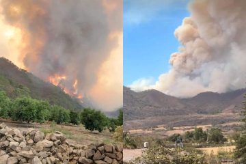 Incendio forestal