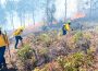 Incendios forestales