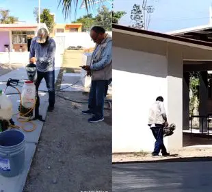 Fumigan en secundaria de Las Juntas