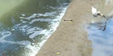 Contaminación en el Río Cuale