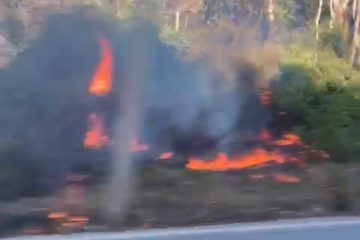 Automovilistas denuncian incendio forestal en carretera federal 200