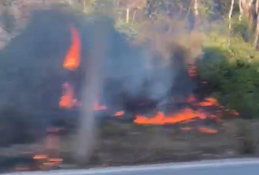 Automovilistas denuncian incendio forestal en carretera federal 200