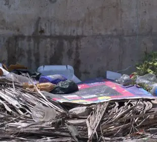 Basura y hojas de árbol