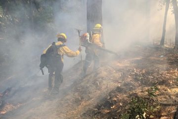 Incendio forestal es controlado en El Cuarenteño, Xalisco, Nayarit