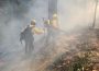Incendio forestal es controlado en El Cuarenteño, Xalisco, Nayarit