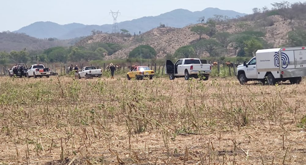 Potrero en localidad El Colorado