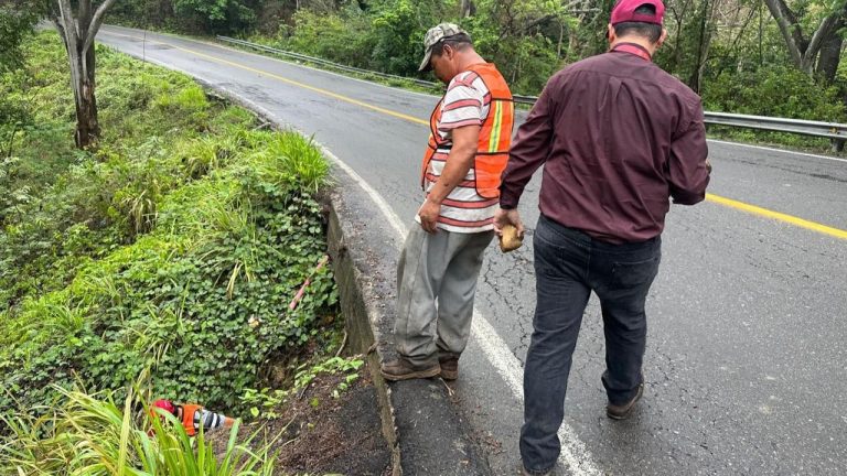 Reblandecimiento de tierra en kilómetro 54, federal 200, reparado