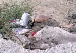 Restos de basura en el piso