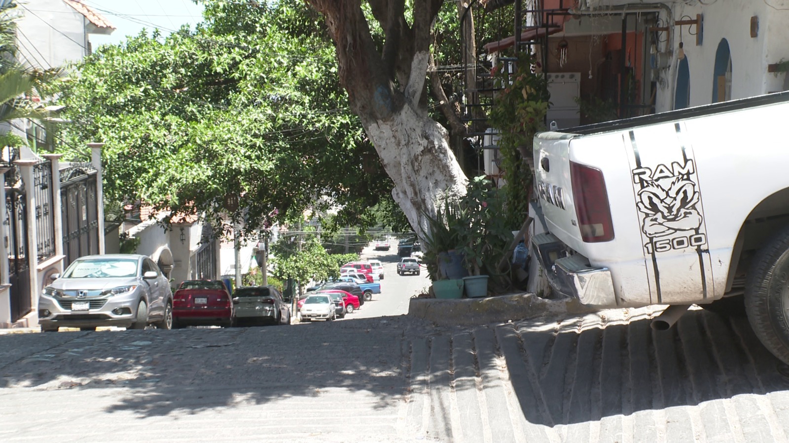 Vecino invade banqueta con jardinera; arriesga a peatones en la Jacarandas