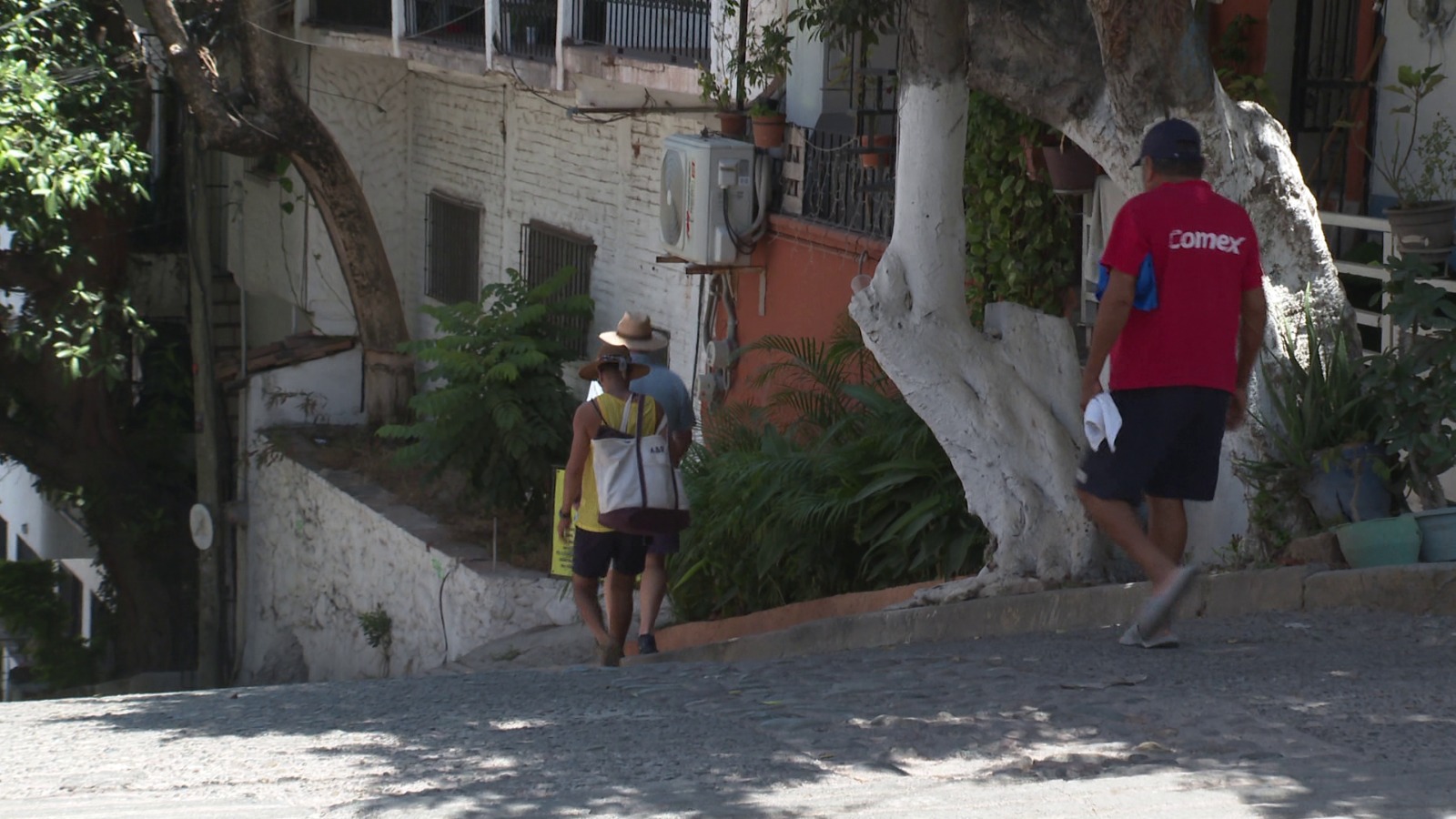 Vecino invade banqueta con jardinera; arriesga a peatones en la Jacarandas