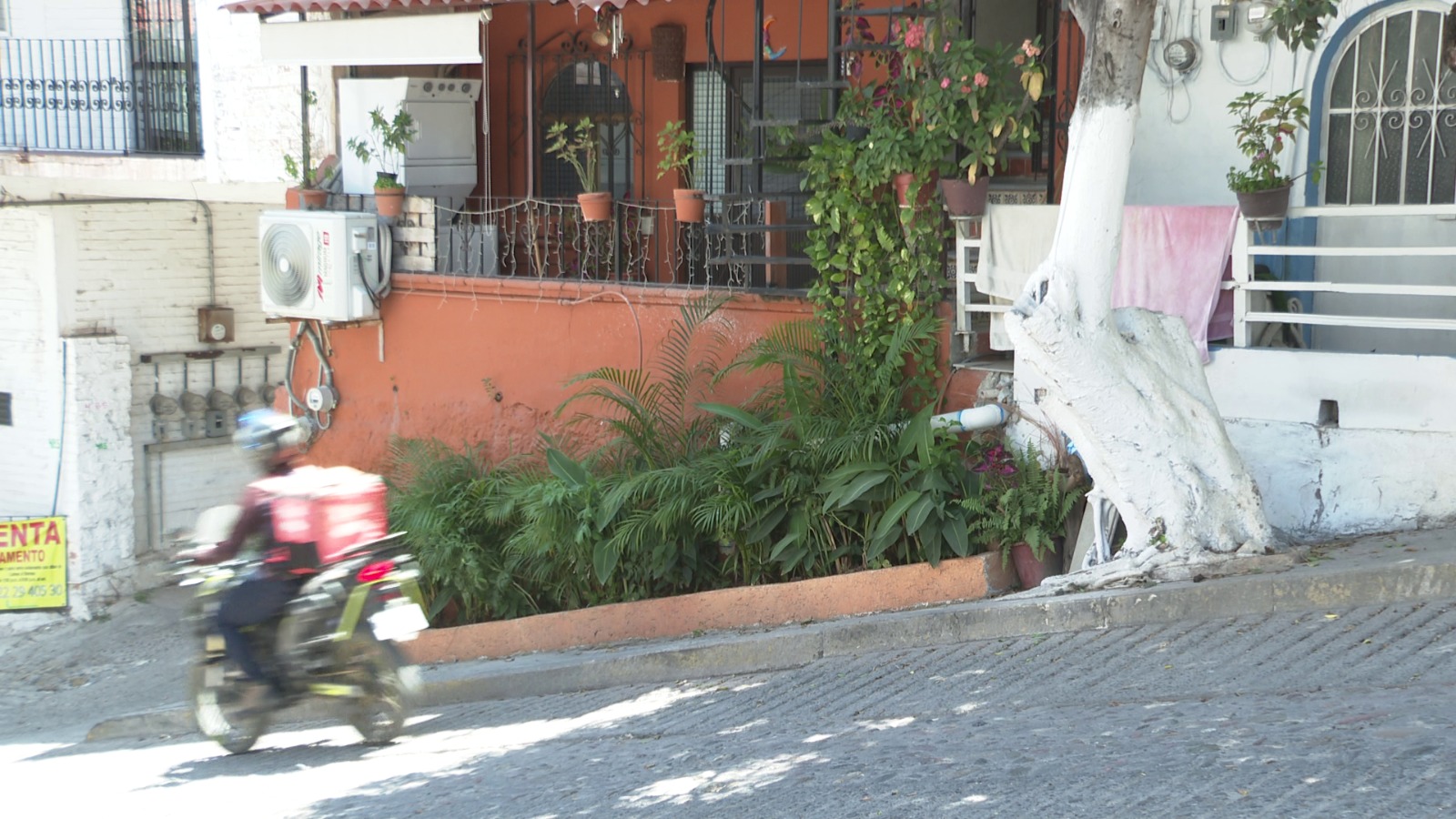 Vecino invade banqueta con jardinera; arriesga a peatones en la Jacarandas