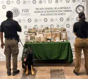 Aseguran drogas en empresa de paquetería en El Salto