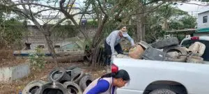 Puerto Vallarta ya rebasó los 100 casos de dengue en el año