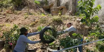 Puerto Vallarta ya rebasó los 100 casos de dengue en el año