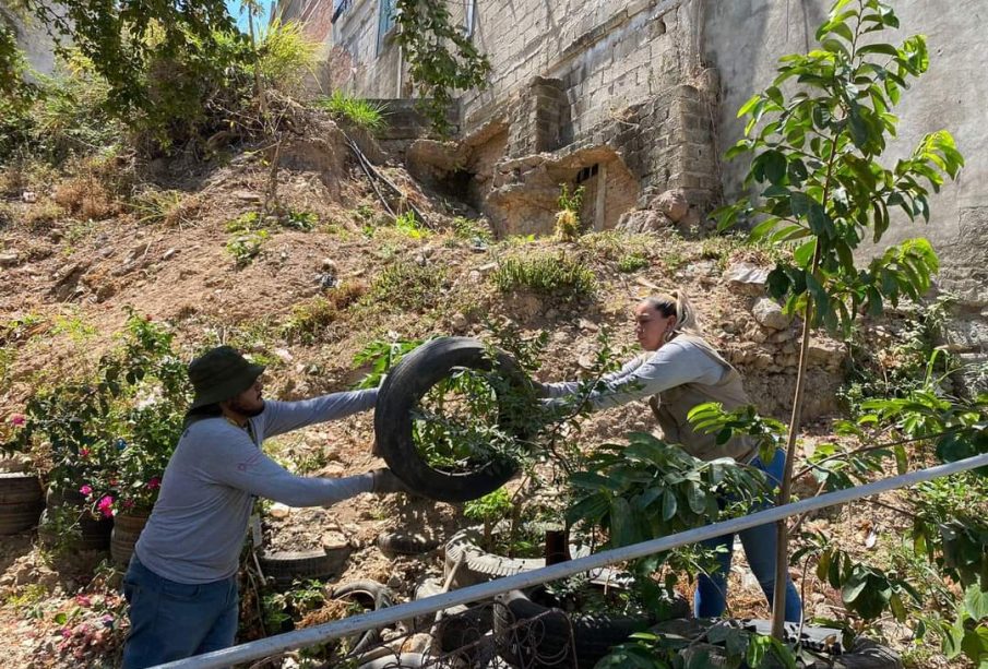 Puerto Vallarta ya rebasó los 100 casos de dengue en el año